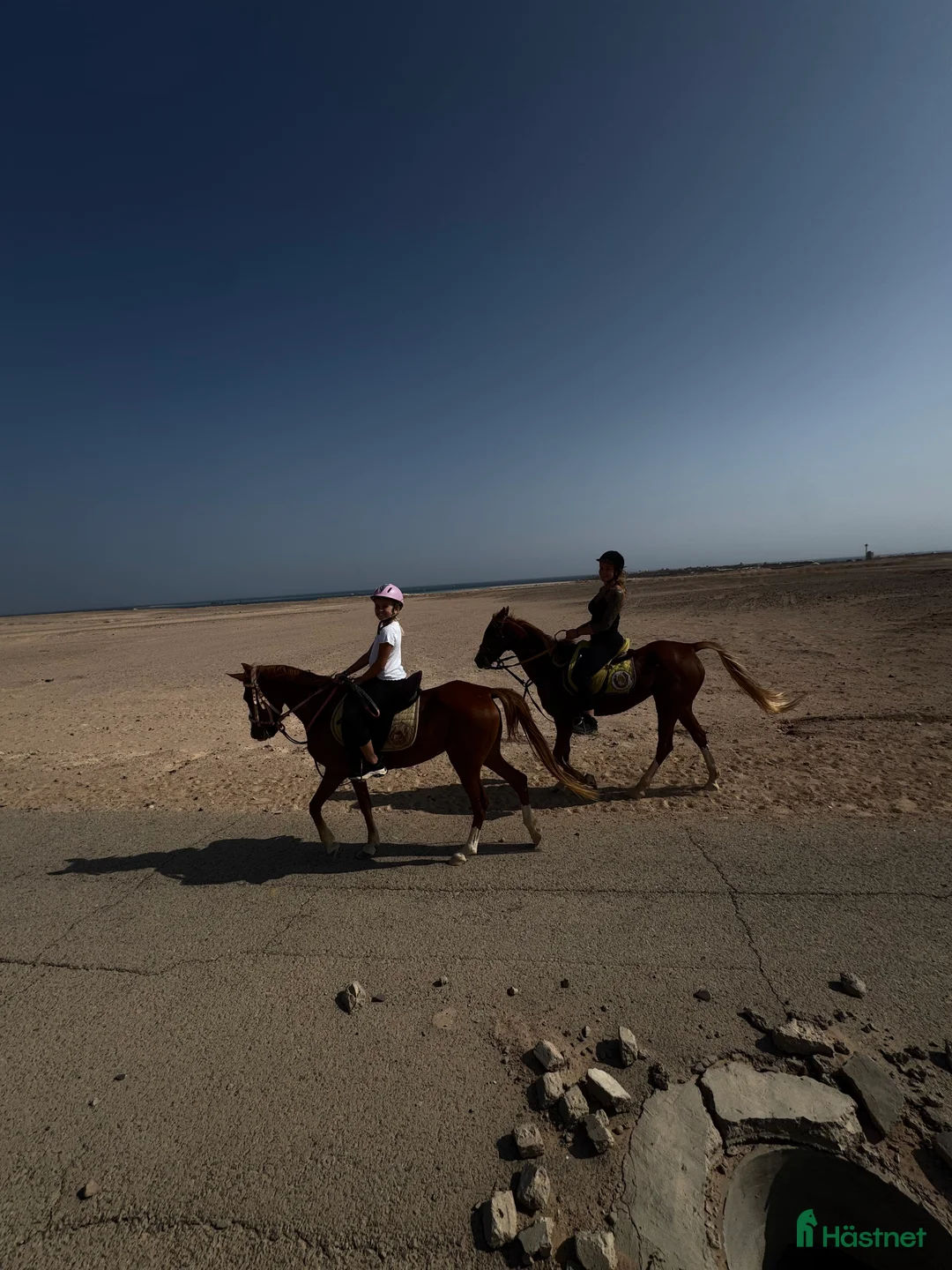 Galleribild {{count}}