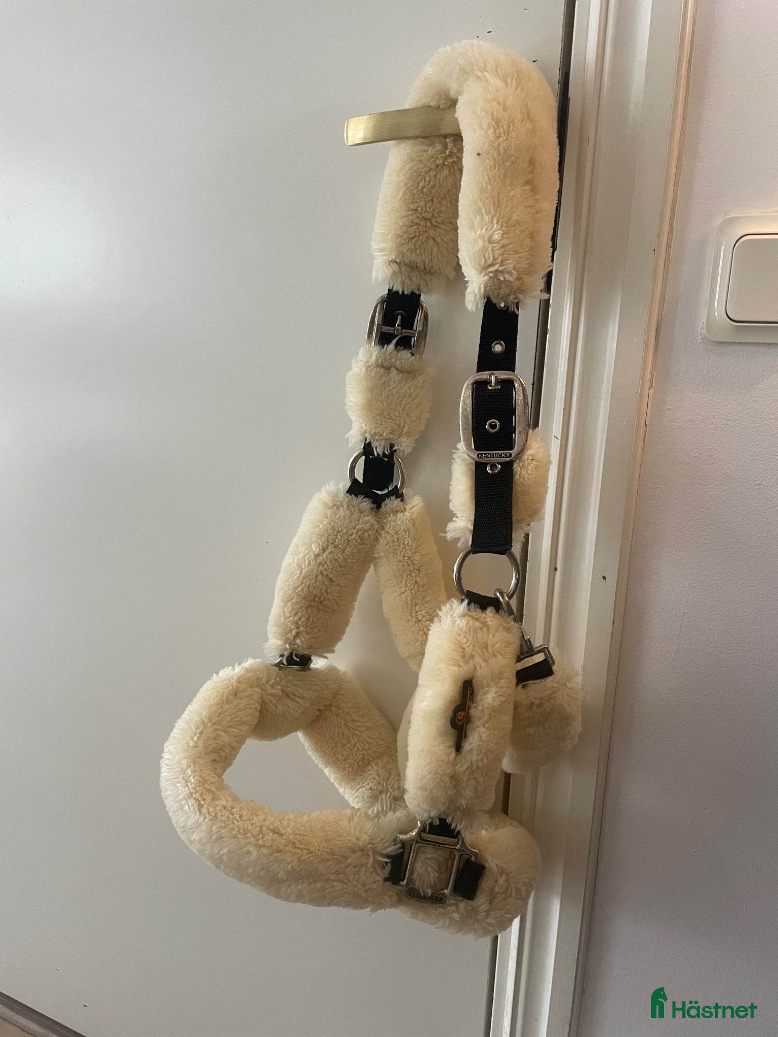 Övrig Hästutrustning hästutrustning Kentucky Grimma  - Annons 1