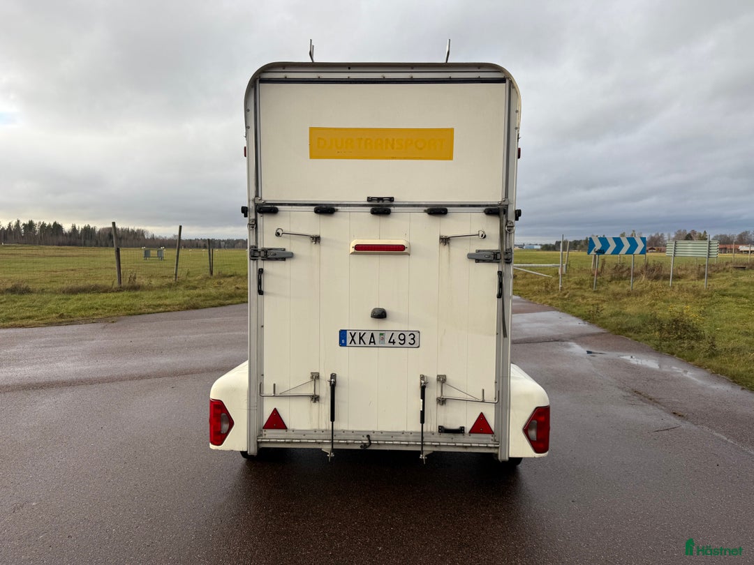 Hästtransporter  fordon & transport till salu: UME B35 -05 i Borlänge - Annons 4