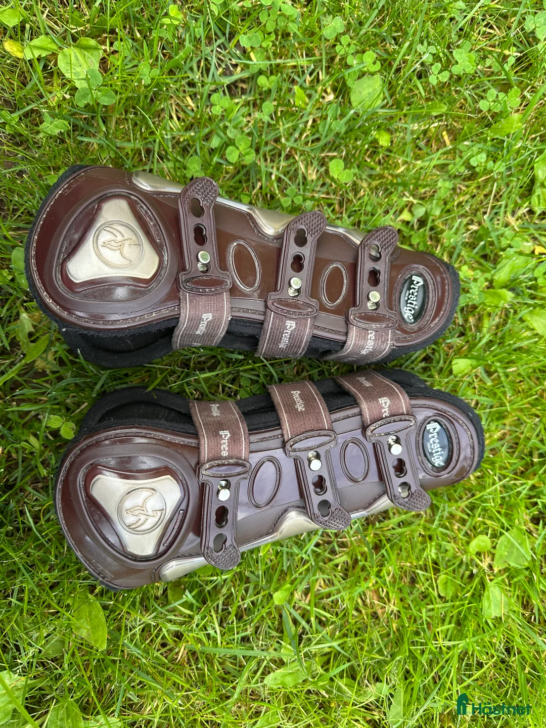 Benskydd hästutrustning till salu: Senskydd Pretsige i Borlänge - Annons 1