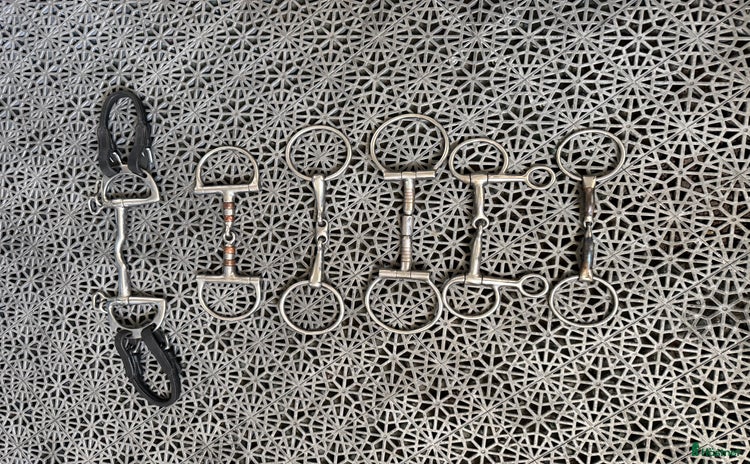 Bett hästutrustning till salu i Stora Skedvi - Annons 9