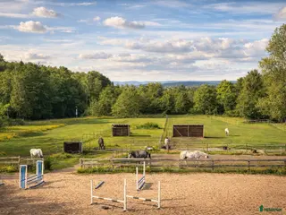 stallplats Ledig boxplats i mysigt stall - Annons 1