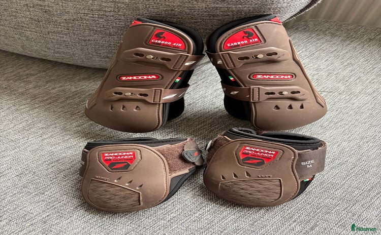 Benskydd hästutrustning till salu i Falkenberg - Annons 15