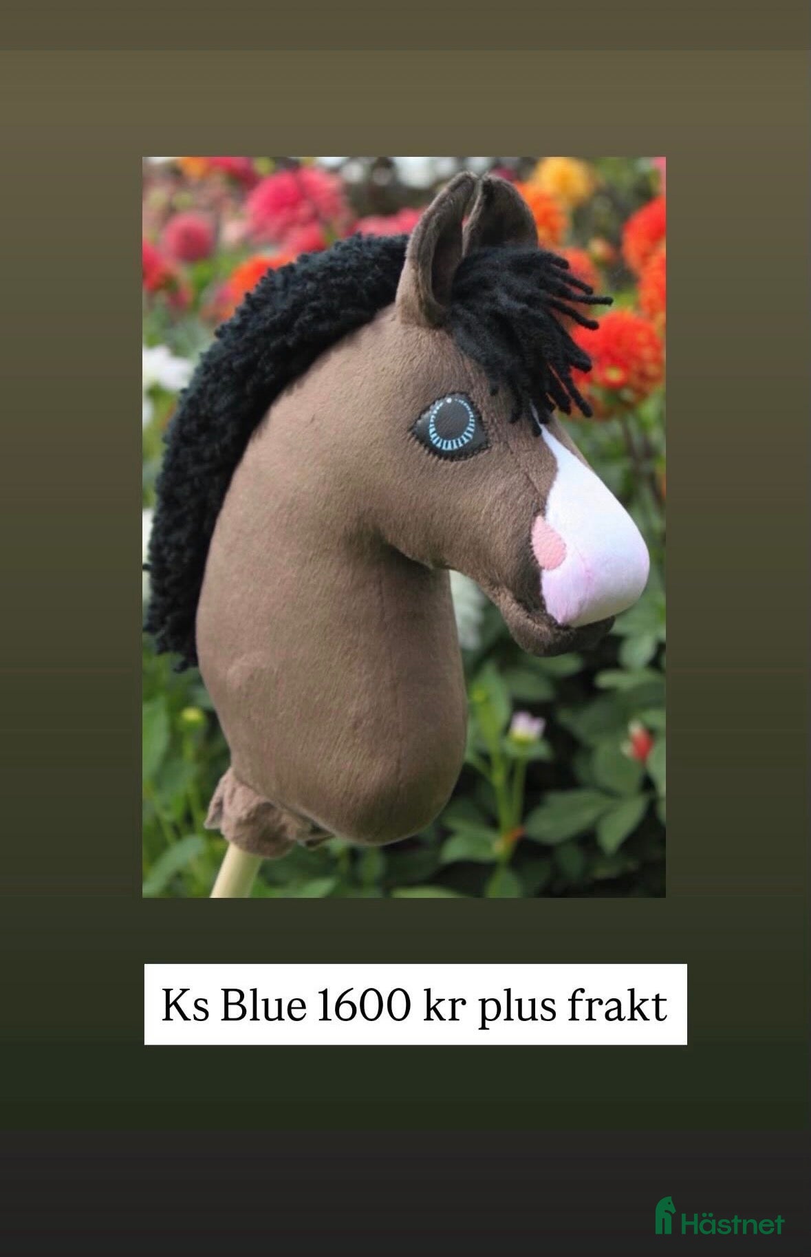 Övrig utrustning övrig utrustning till salu: Blue tillsalu - Annons 2