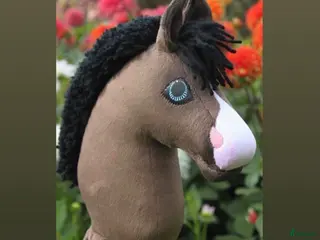 Övrig utrustning övrig utrustning till salu: Blue tillsalu - Annons 2