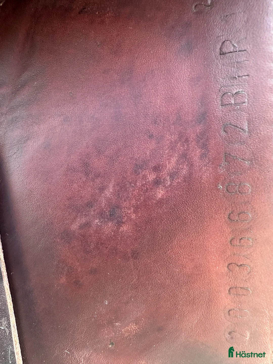 Sadlar hästutrustning till salu: Erreplus CA 17” Brun - Annons 2