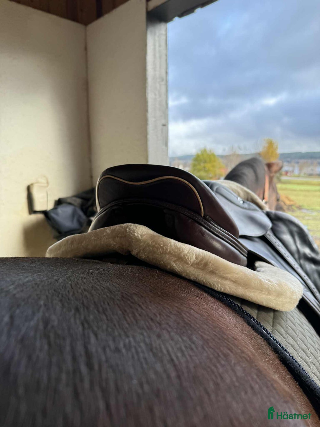 Sadlar hästutrustning till salu: Prestige Michel Robert  i Arvika - Annons 6