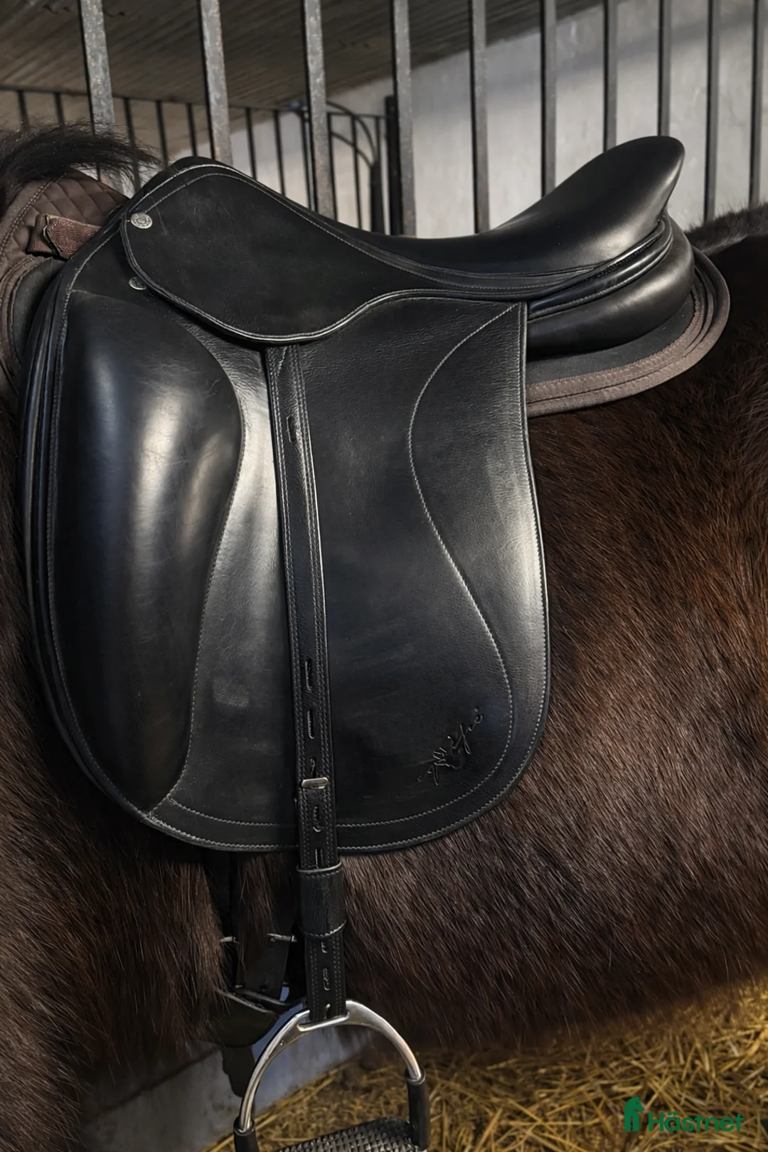 Sadlar hästutrustning till salu: Equipe ice mono  i Alunda - Annons 1