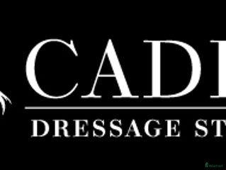 hästjobb finnes i Tollarp - Annons 2