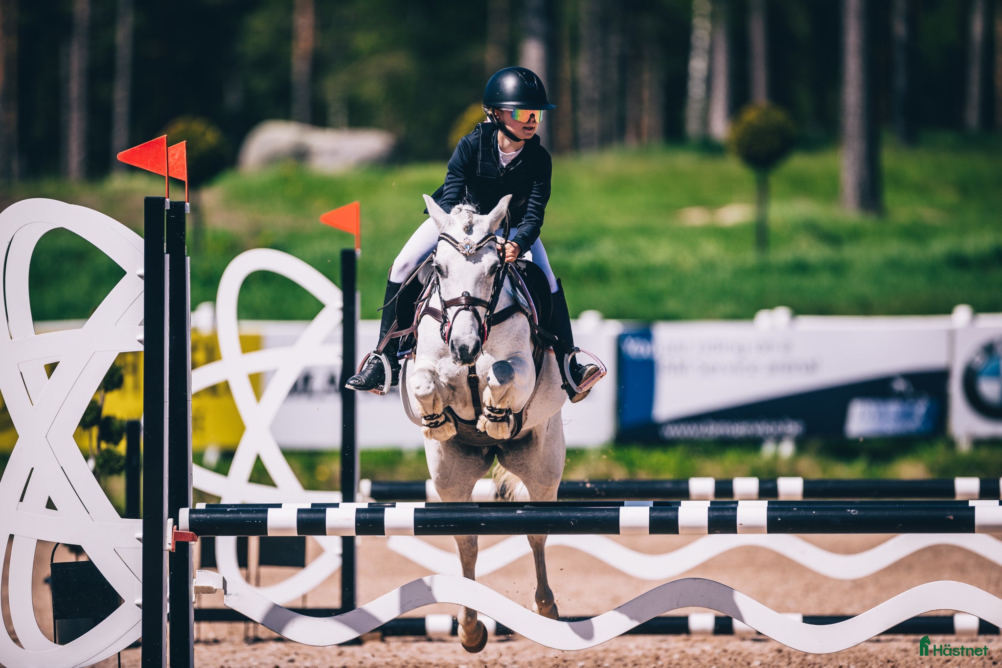  hästar Drömponny - Annons 1