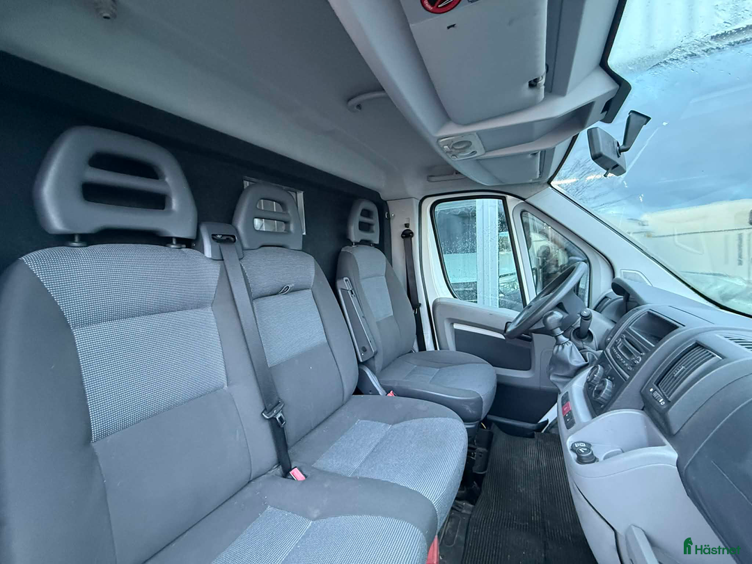 Hästlastbilar  fordon & transport till salu: Theault Firsteo med hög lastvikt!  i Köping - Annons 6