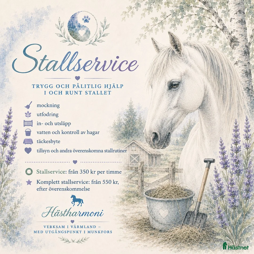  hästservice finnes: Hästmassage & stallservice - Annons 2