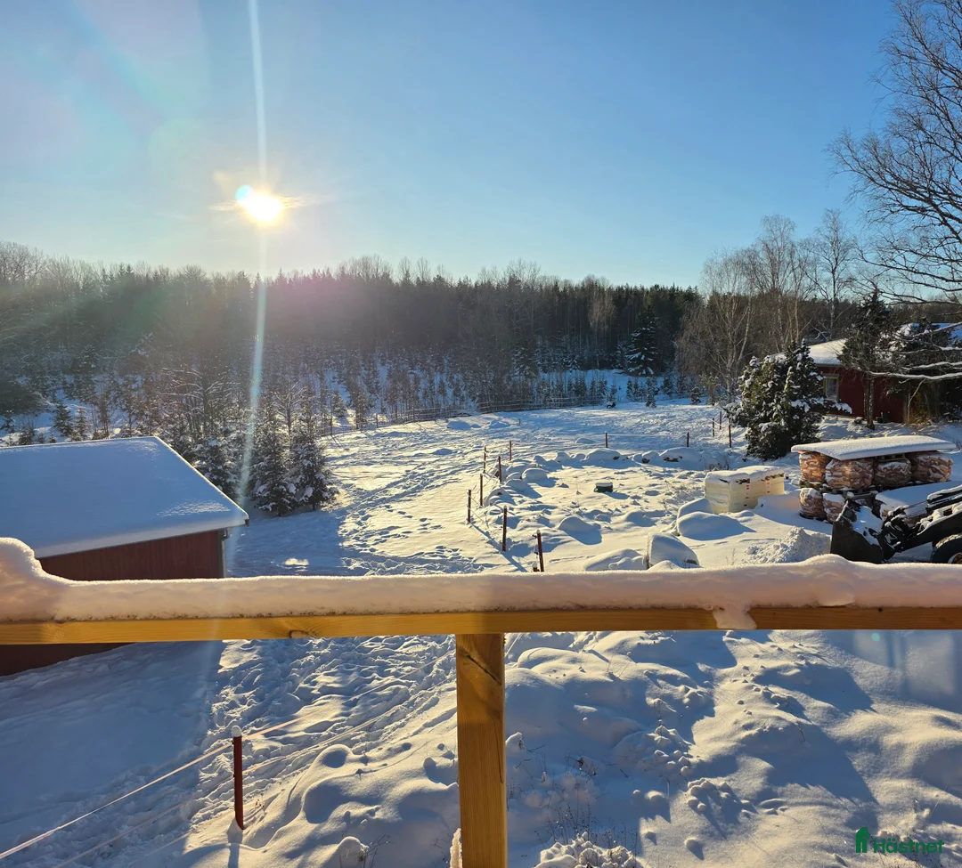  stallplats finnes: Lägenhet med stallplats - Annons 4