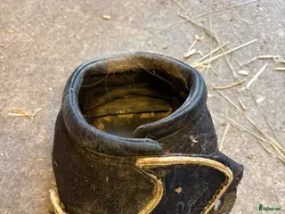 Övrig Hästutrustning hästutrustning Cavallo boots strl 1 - Annons 2