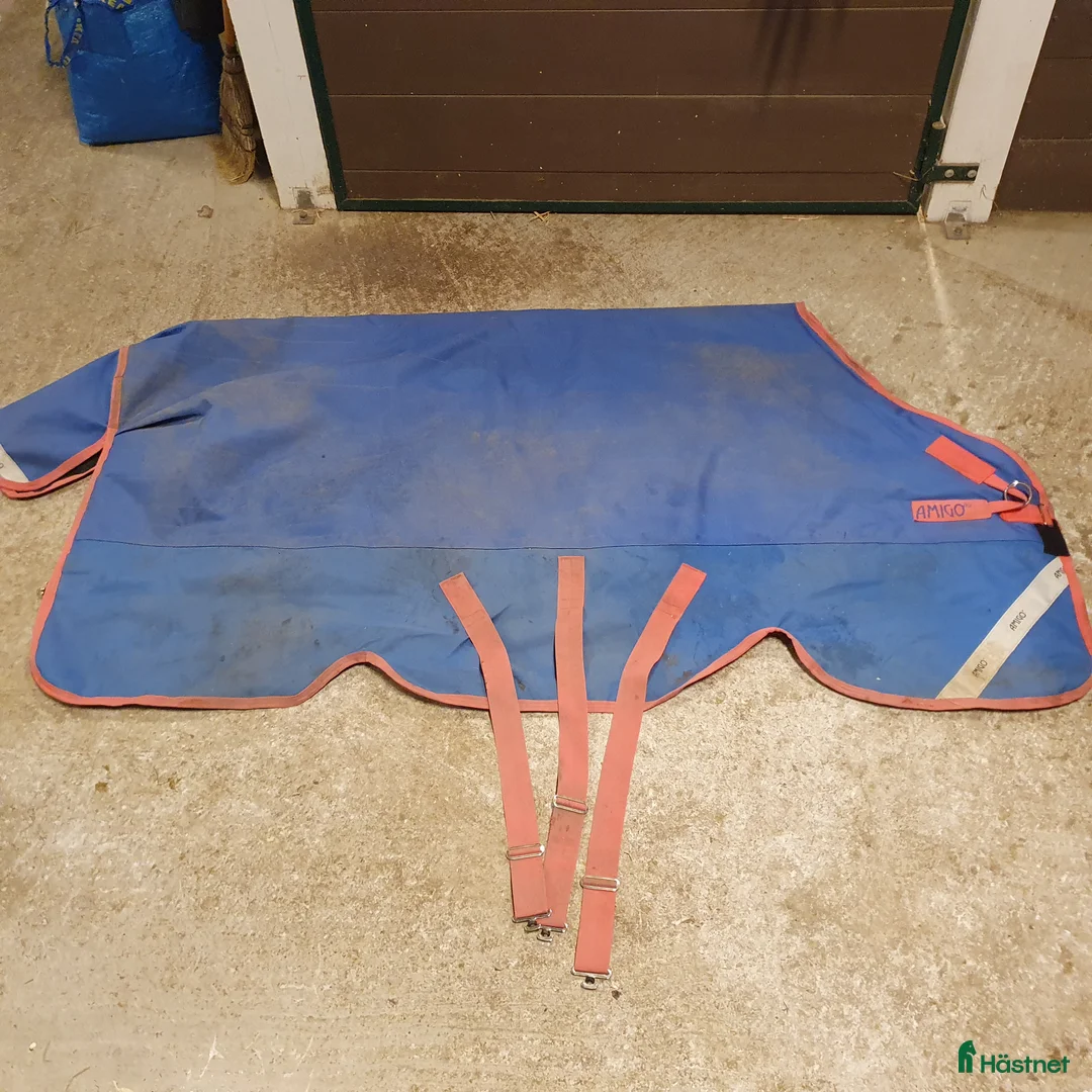 Täcken hästutrustning till salu: Amigo Bravo 12 plus 250g strl 6.3/140 - Annons 2