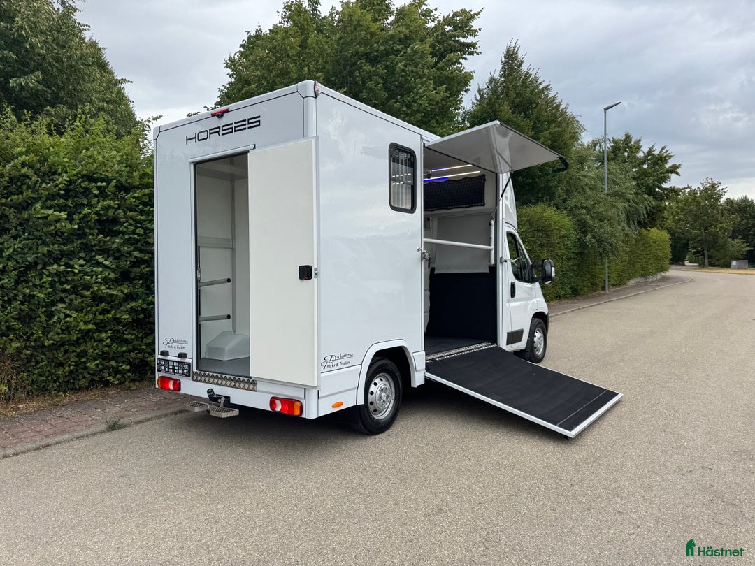 Hästlastbilar  fordon & transport till salu: Fabriksny Dickenherr 2-Ride StuteriLight i Haverdal - Bild 3