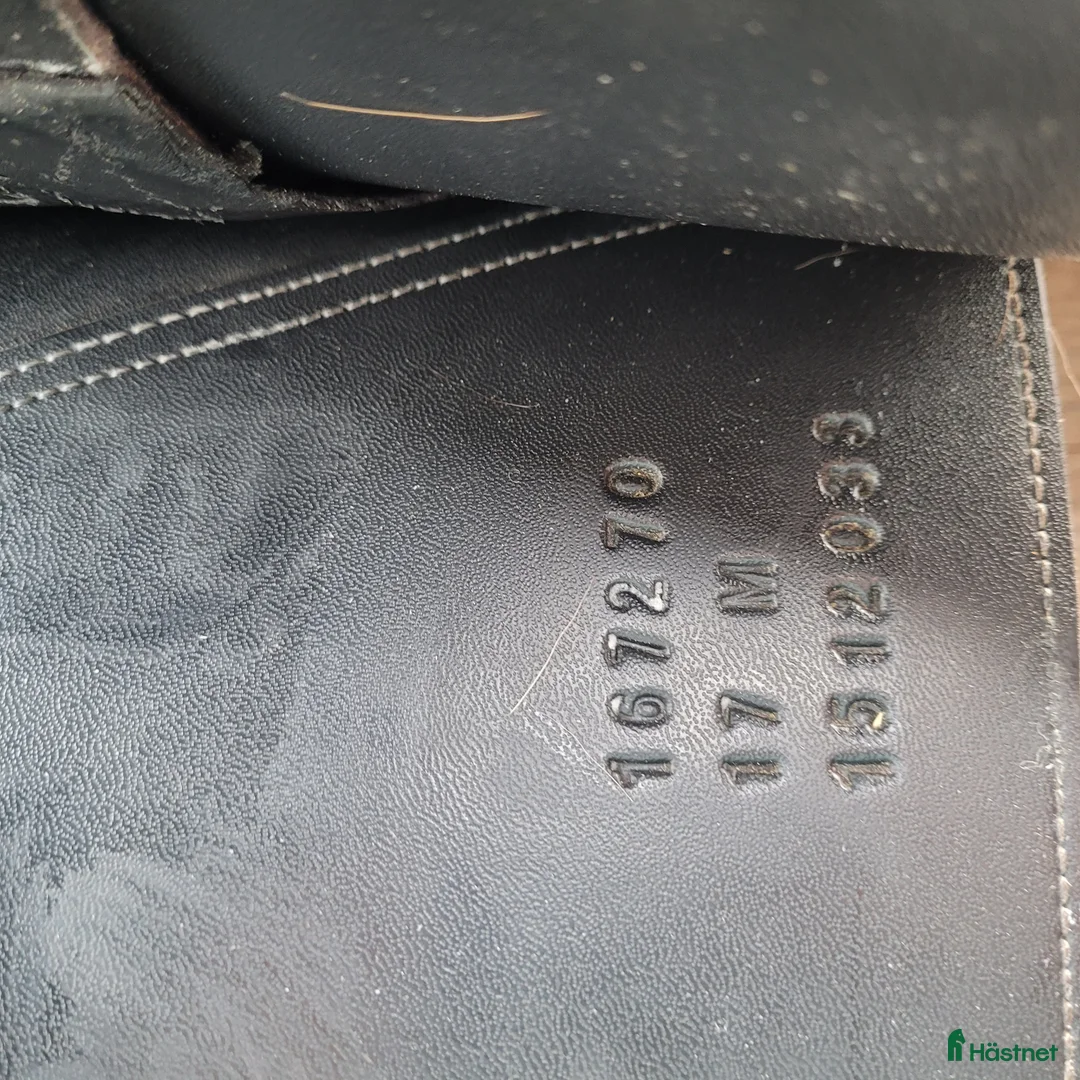 Sadlar hästutrustning till salu: Lippo Enzo - Annons 2