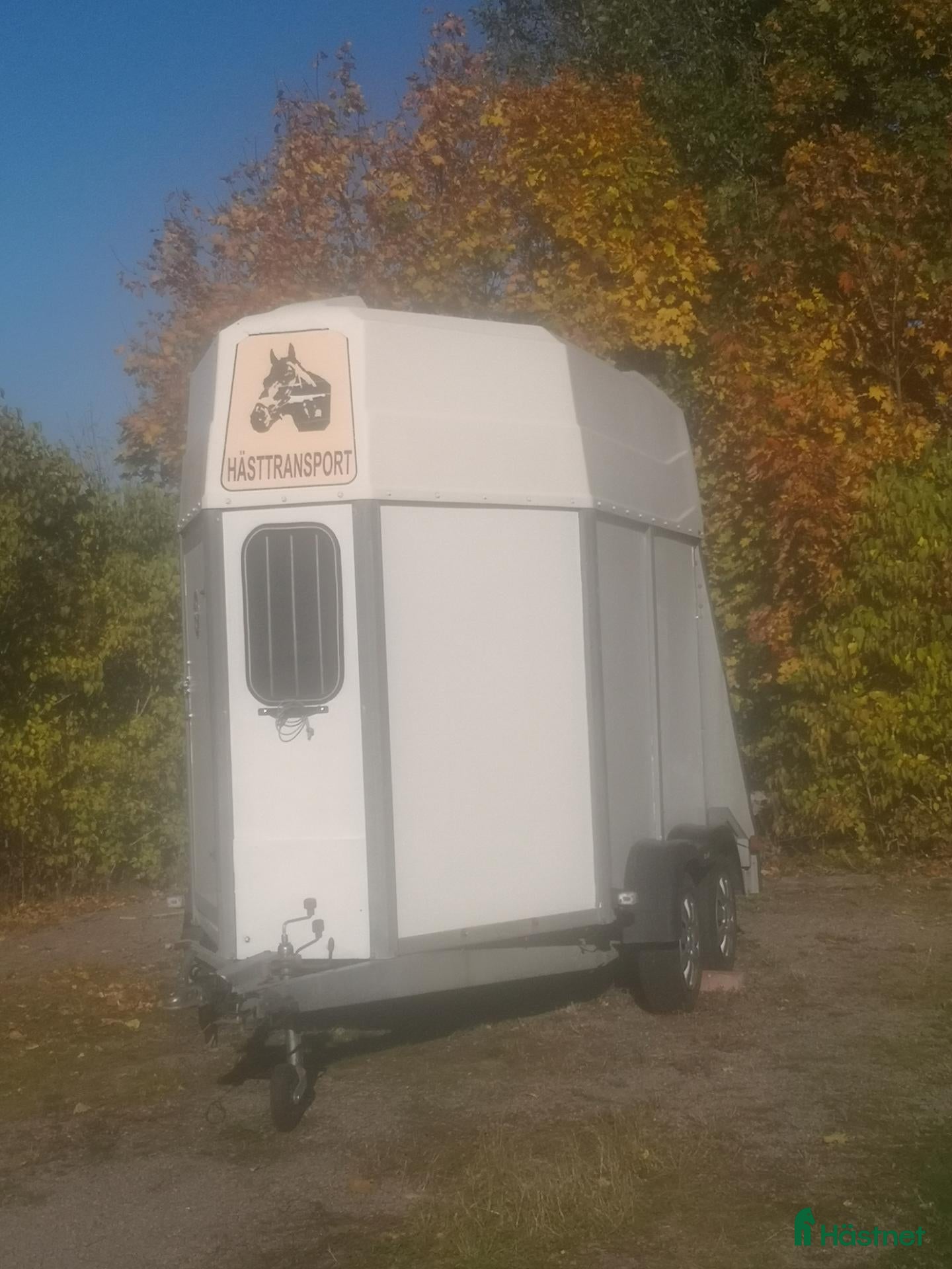 Hästtransporter  fordon & transport till salu: Nymålad hästtransport - Annons 6