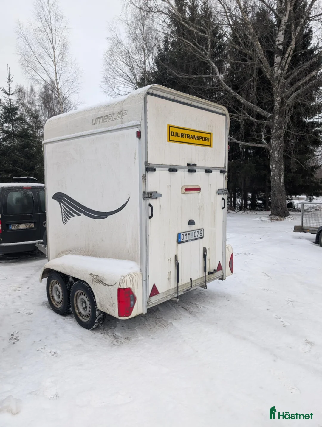 Hästtransporter  fordon & transport till salu: Umesläp BAA i Svalöv - Annons 3