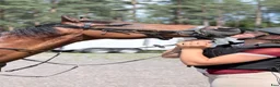 Allround hästar till salu: Läromästare - Annons 2