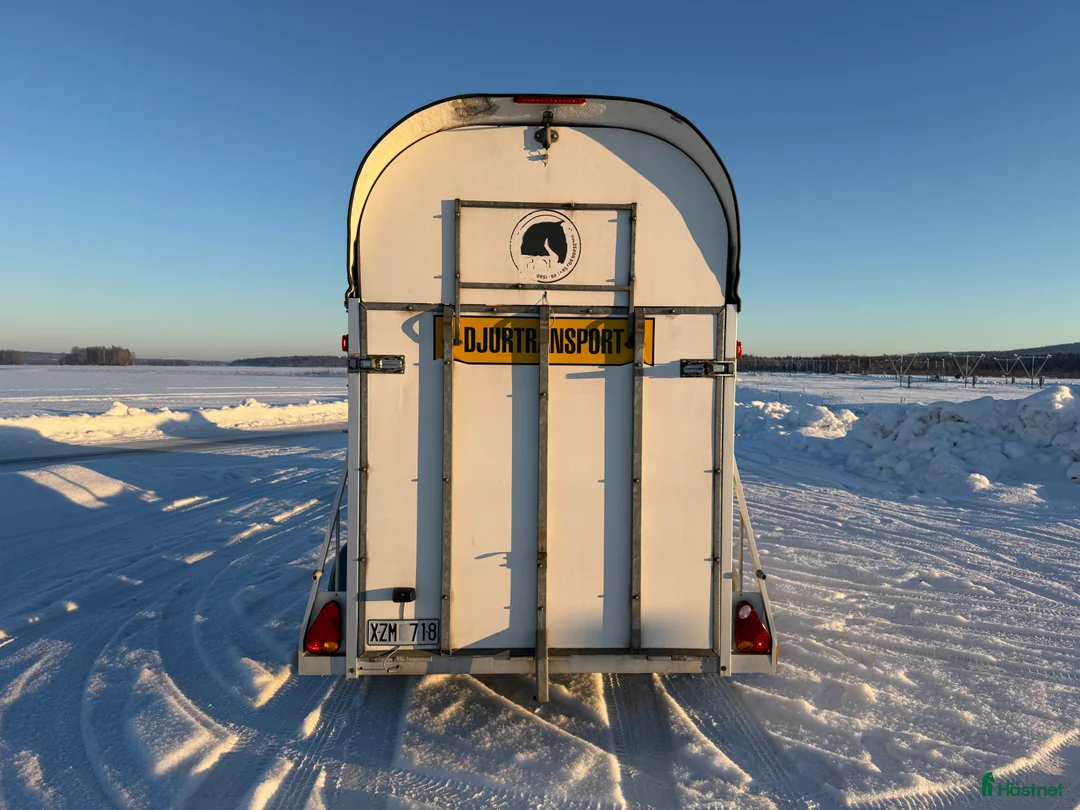 Hästtransporter  fordon & transport till salu: Boj 220S -07 i Borlänge - Annons 4