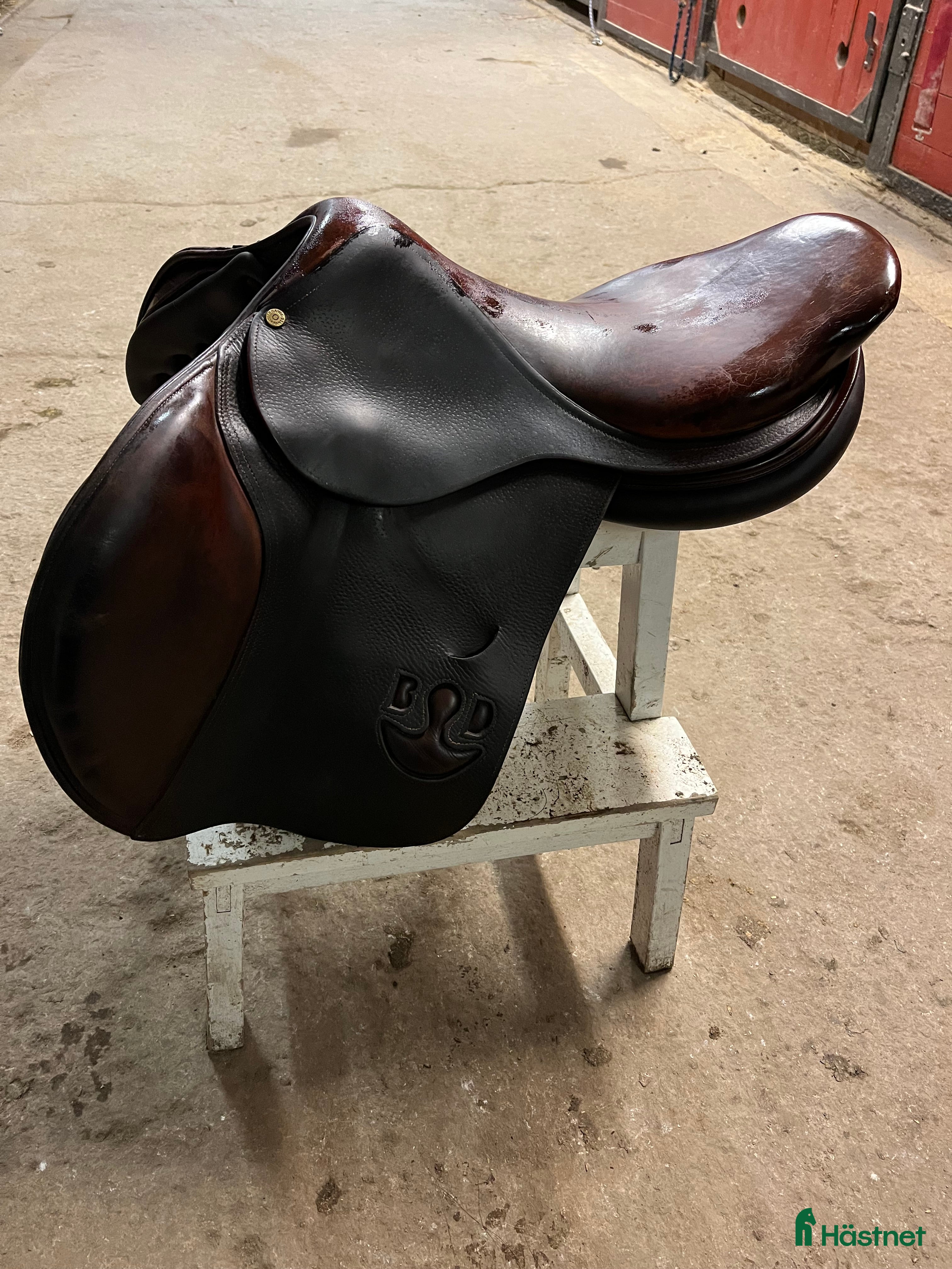 Sadlar hästutrustning till salu: Bruno del grange i Sundsvall - Annons 17
