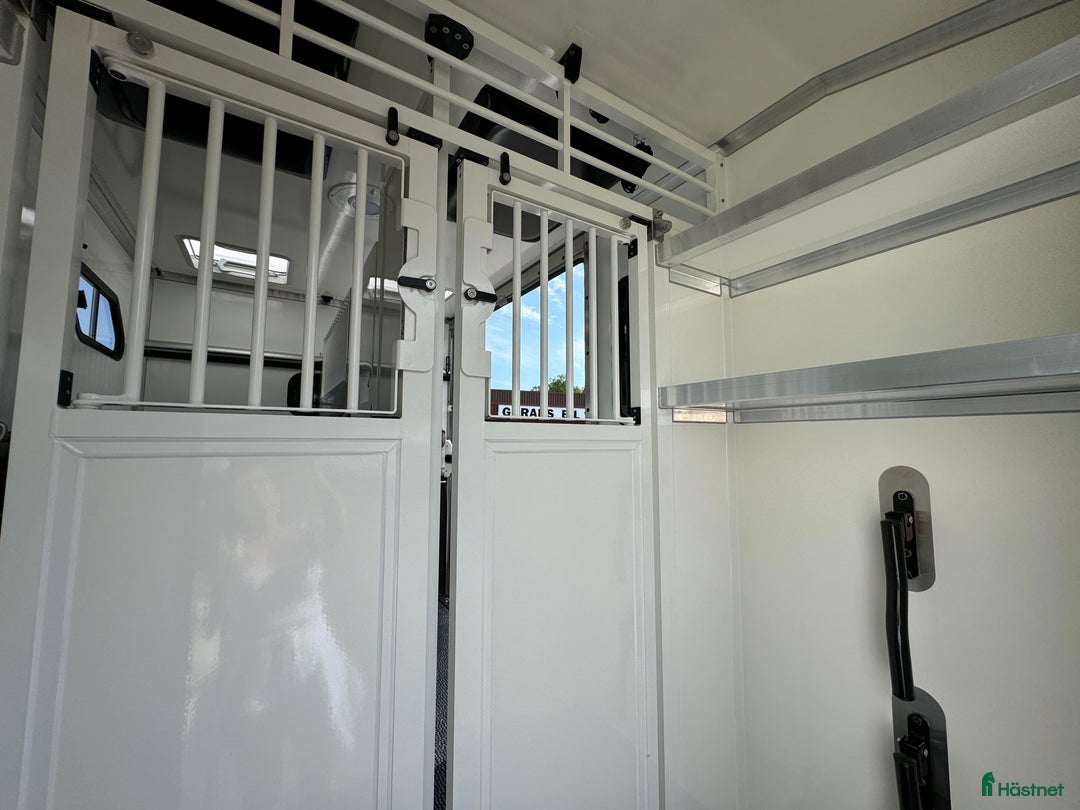 Hästlastbilar  fordon & transport till salu: PARAGAN EXCELSION 5XL STUTERI  i Köping - Bild 9