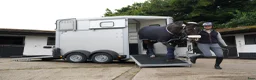 Hästtransporter  fordon & transport till salu: Ifor Williams HB 403 - Annons 11