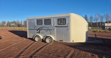 Hästtransporter  fordon & transport till salu: Cheval Minimax 2017 - Annons 8