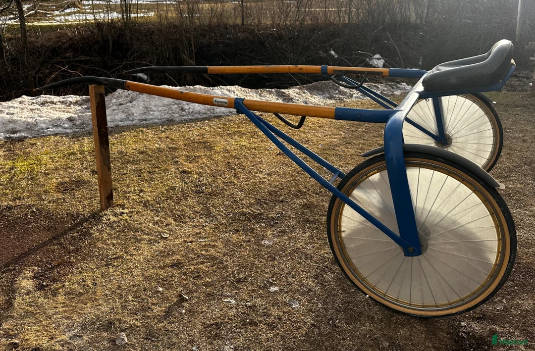Körsulkys körning till salu: Fortuna Travsulky i Orsa - Annons 1