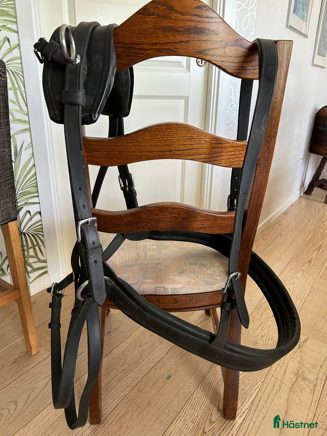 Övrig Hästutrustning hästutrustning till salu: Brösta med däckel i Karlstad - Annons 1