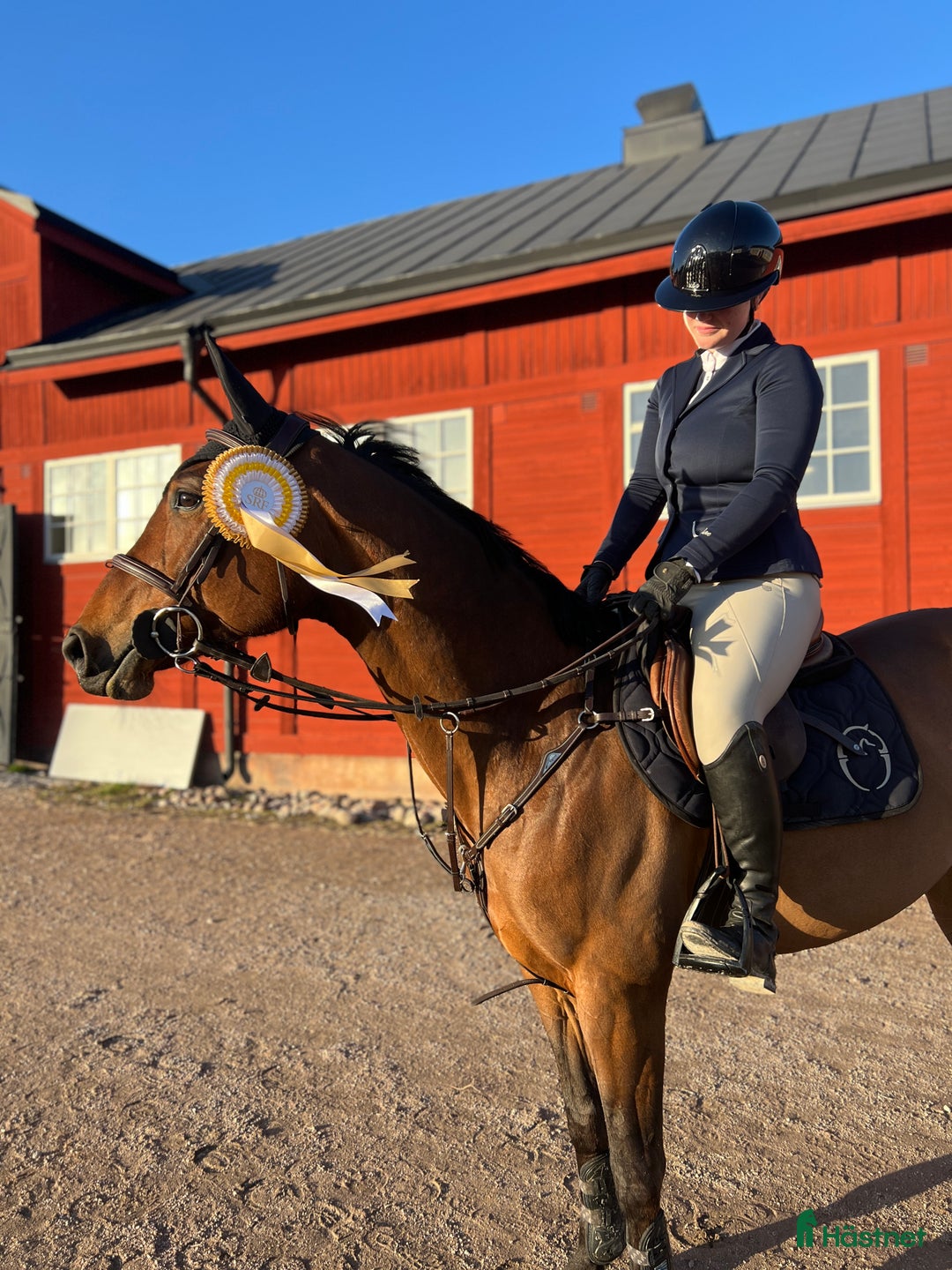  hästservice finnes: Träningar i dressyr, markarbete och hoppning🌟 i Mora - Annons 5