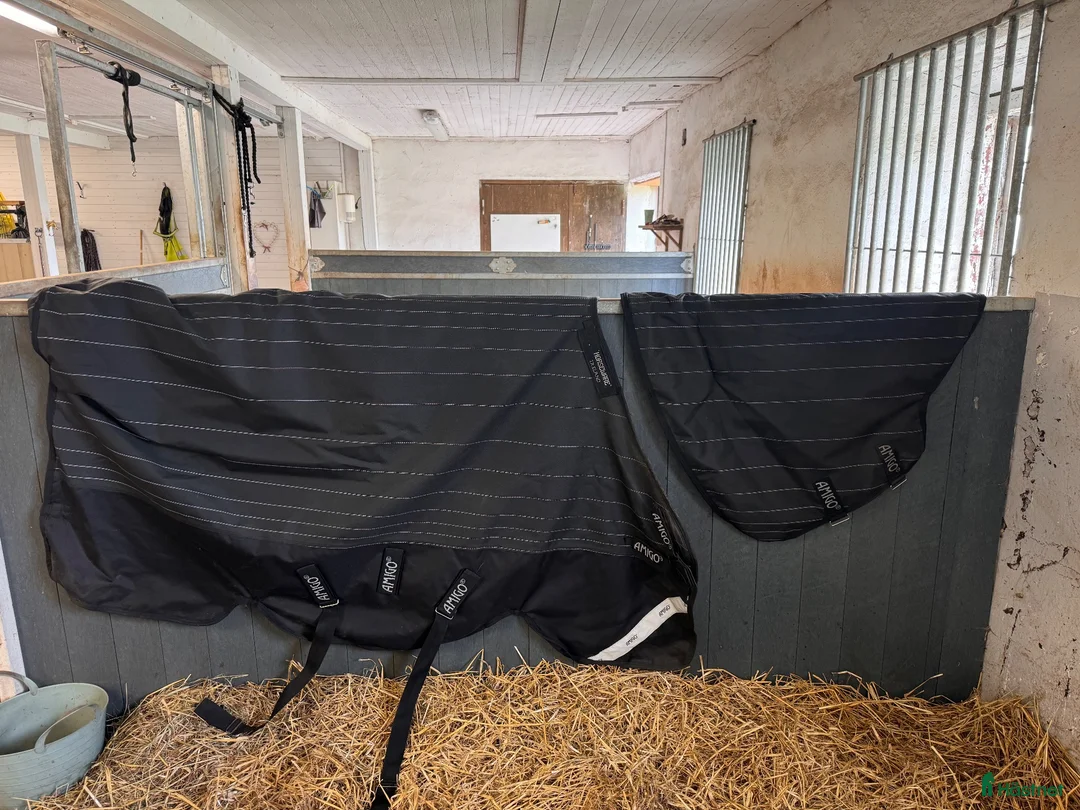 Täcken hästutrustning till salu: Horseware utetäcken - Annons 2