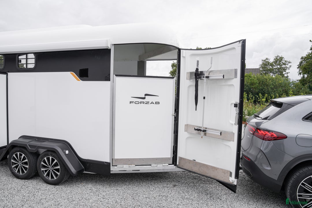 Hästtransporter  fordon & transport till salu: Forzab EQ 3 Reverse i Harestad - Annons 6