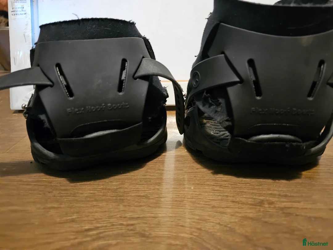 Övrig Hästutrustning hästutrustning till salu: Flex hoof boots 140 i Söråker - Annons 6