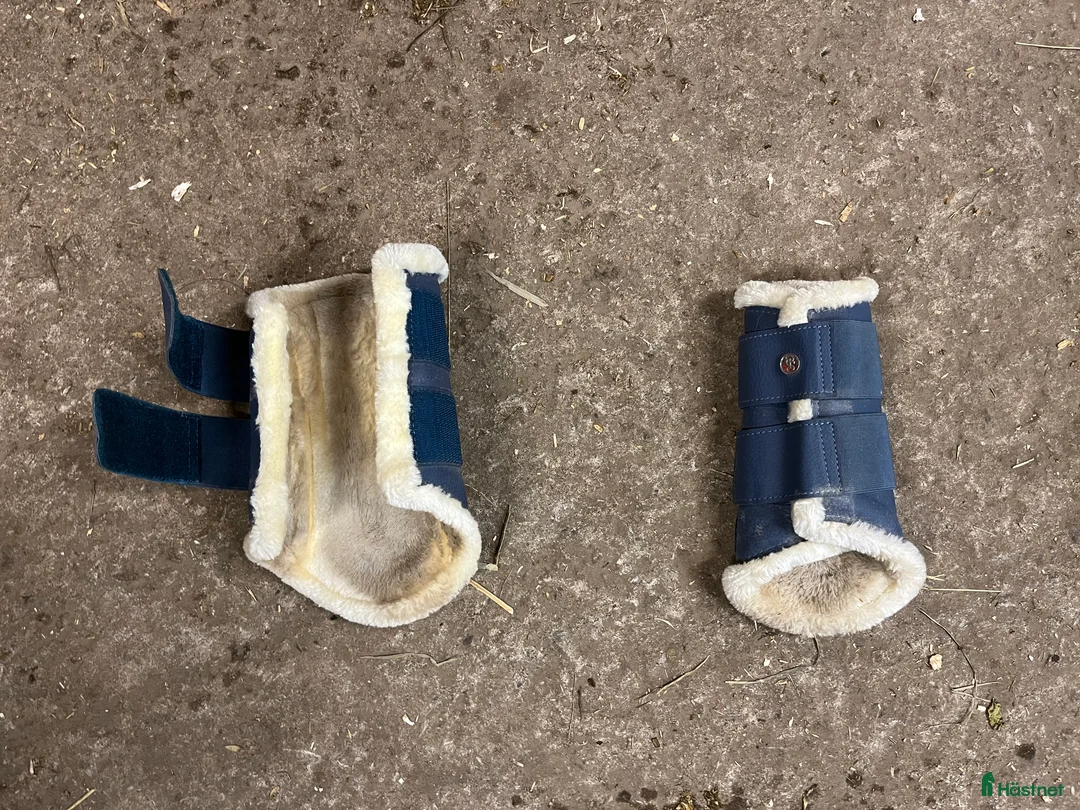 Schabrak & Vojlockar hästutrustning till salu: Ljusblått set från ps  i Landsbro - Annons 5