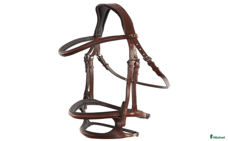 Träns hästutrustning till salu: dubbel nosgrimma träns i Hägersten - Annons 1