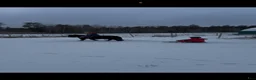 Övrigt hästar till salu: Supersnäll barnponny - Annons 4