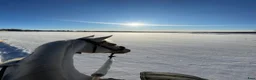 Allround hästar till salu: Sagohästen, Bästa vän🤍 - Annons 8