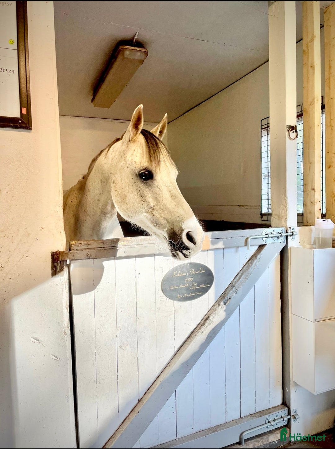  stallplats finnes: Ledig stallplats i Huddinge i Huddinge - Annons 3