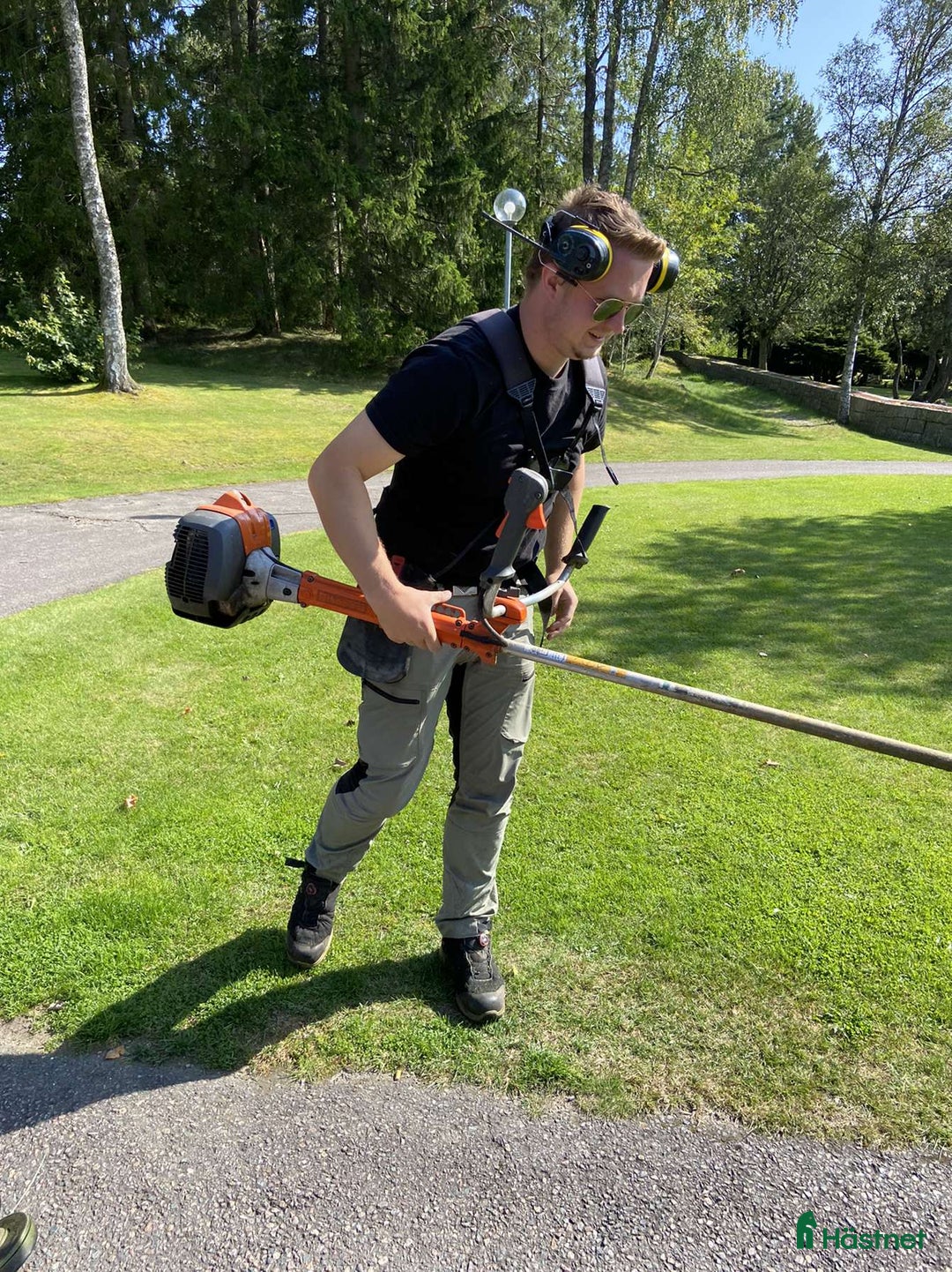  hästjobb finnes: söker jobb inom Stall/hästskötsel i Sävsjö - Annons 1