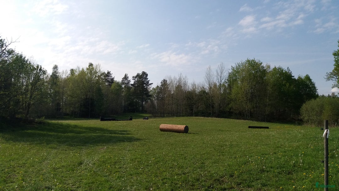  stallplats finnes: Lösdrift där hästar får vara hästar. i Tjällmo - Annons 16