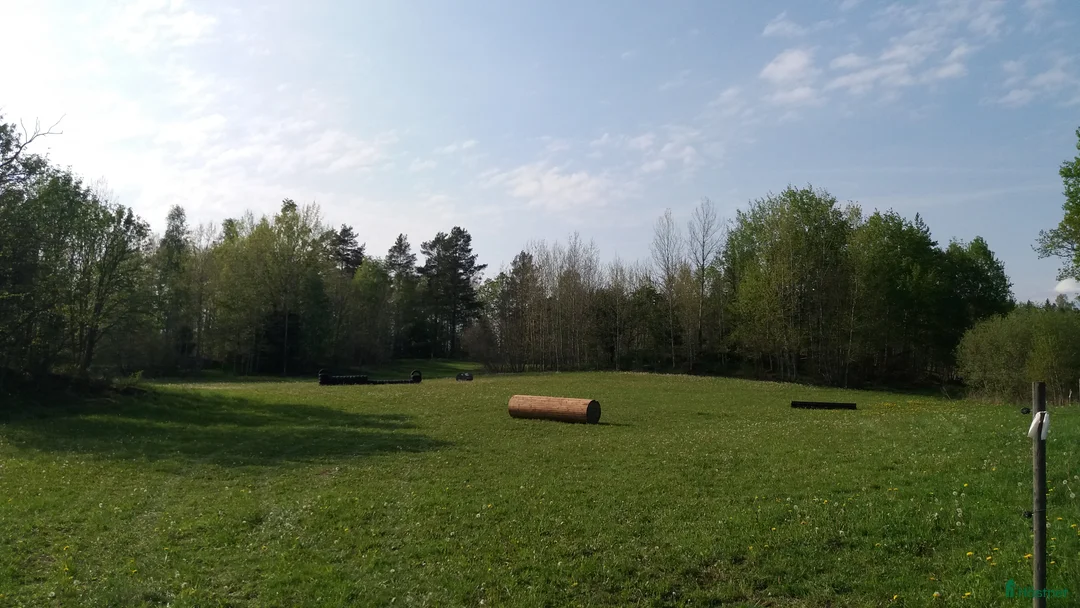  stallplats finnes: Lösdrift där hästar får vara hästar. i Tjällmo - Annons 16