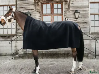 Täcken hästutrustning Kentucky filt i nyskick i Huskvarna - Annons 3