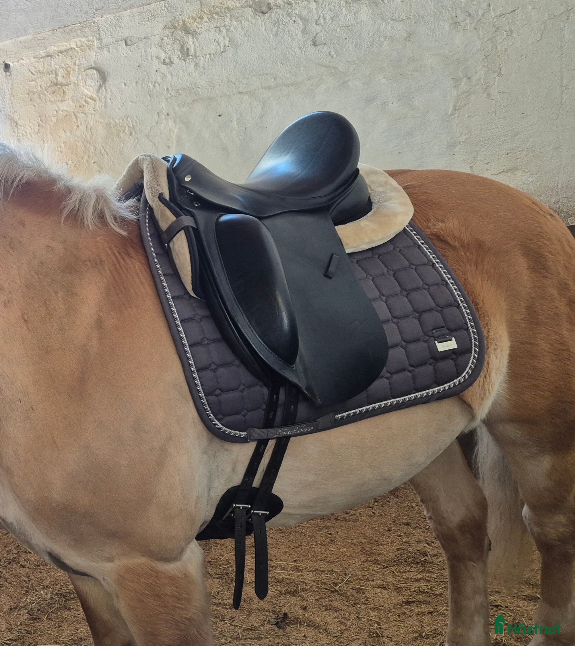 Sadlar hästutrustning Fin dressyrsadel säljes bvsa - Annons 3