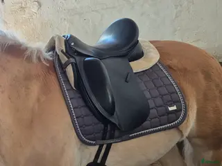 Sadlar hästutrustning Fin dressyrsadel säljes bvsa - Annons 3
