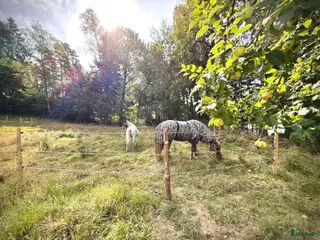 stallplats Ledig Stallplats i Mölnlycke - Annons 6