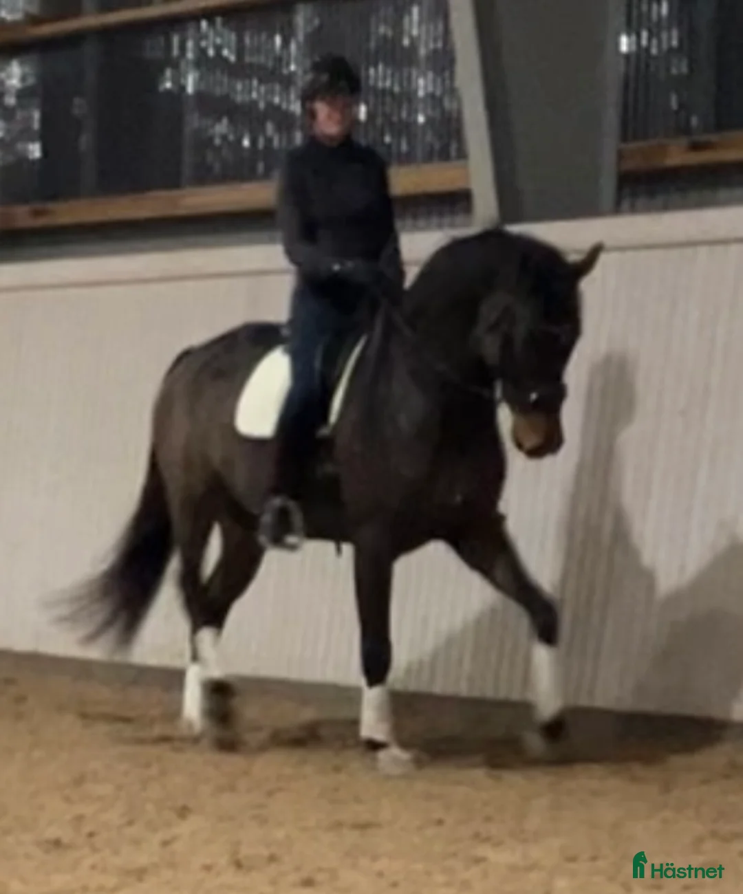 Dressyr hästar till salu: Sto med massor av kapacitet - Annons 1