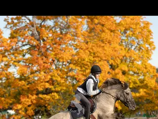 hästar Rätt hem sökes till vår kompis - Annons 7