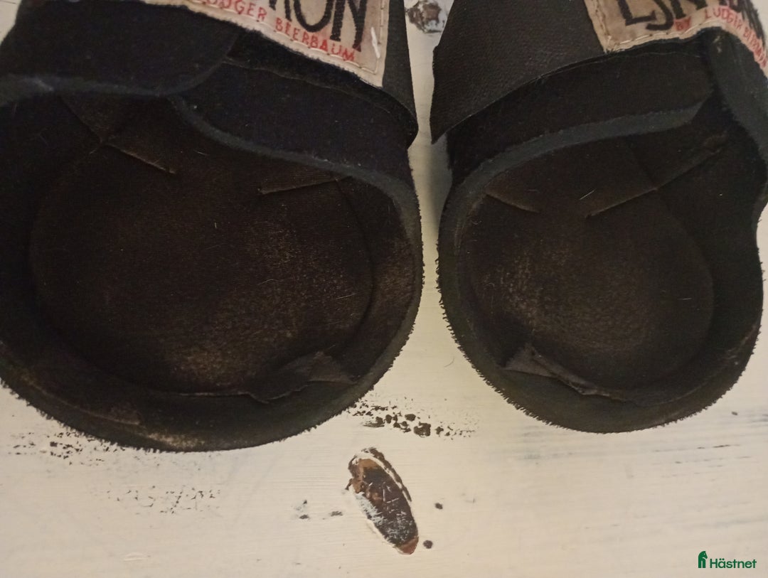 Benskydd hästutrustning till salu: Eskadron bakbenskydd  i Strömstad - Annons 3